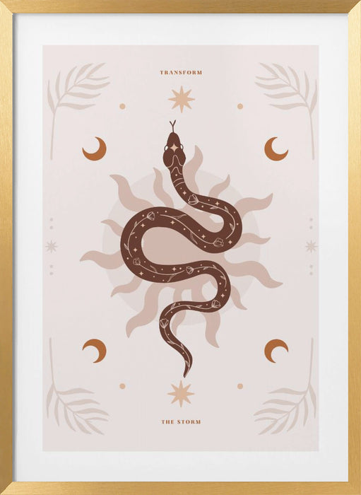 Snake Transform Framed Art Wall Decor