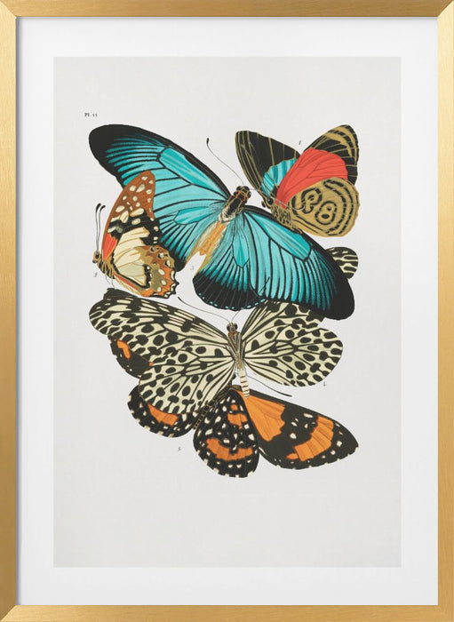 Butterflies 1 Framed Art Wall Decor