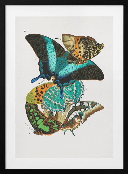 Butterflies 5 Framed Art Wall Decor