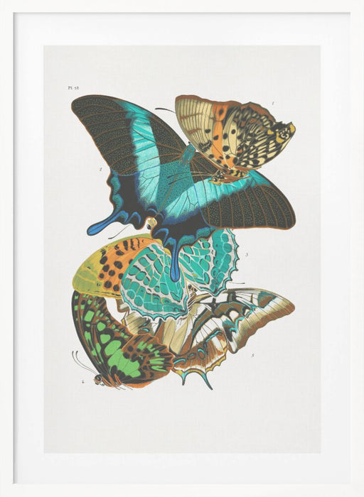 Butterflies 5 Framed Art Wall Decor