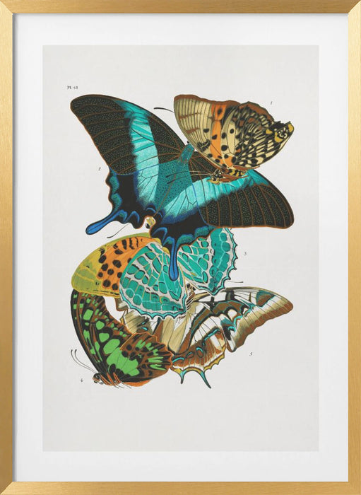 Butterflies 5 Framed Art Wall Decor