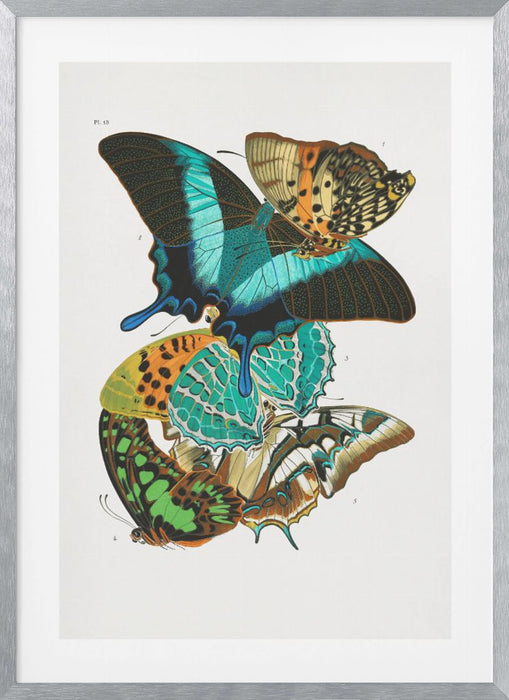 Butterflies 5 Framed Art Wall Decor