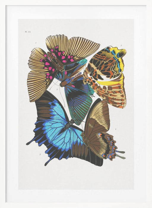 Butterflies 4 Framed Art Modern Wall Decor