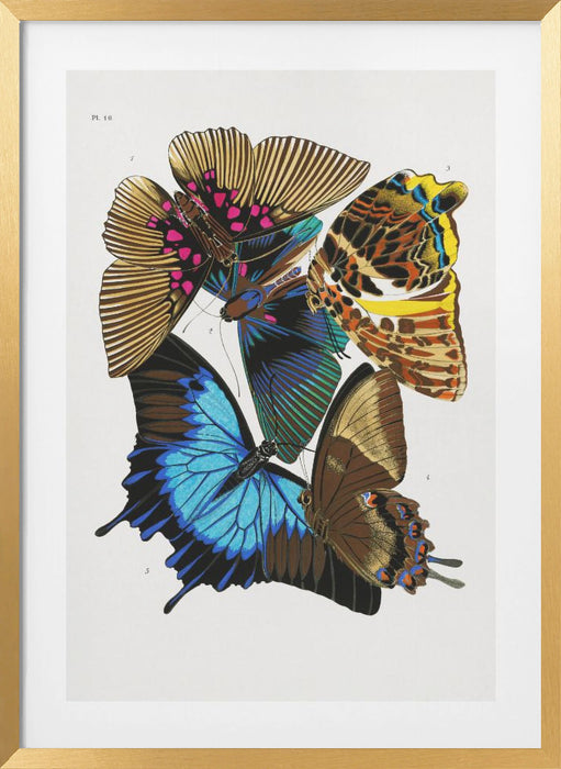 Butterflies 4 Framed Art Modern Wall Decor