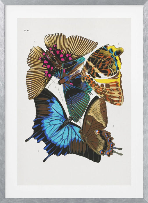 Butterflies 4 Framed Art Modern Wall Decor