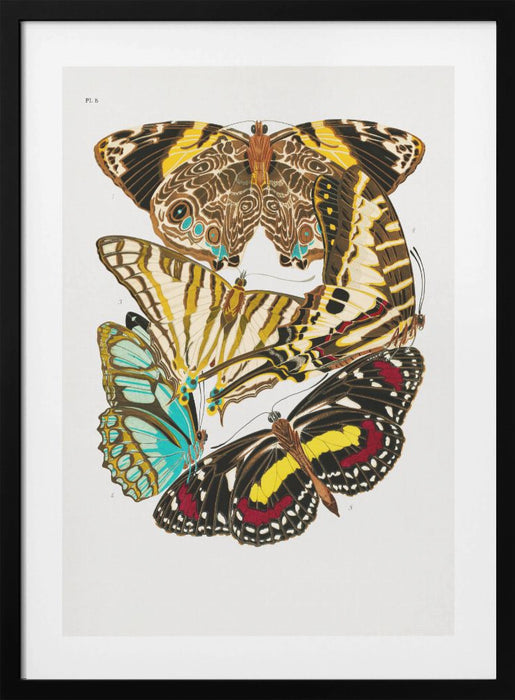 Butterflies 10 Framed Art Wall Decor