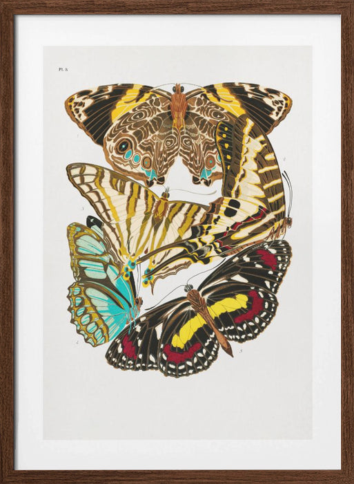 Butterflies 10 Framed Art Wall Decor