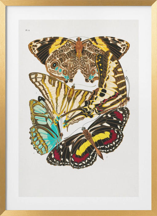 Butterflies 10 Framed Art Wall Decor