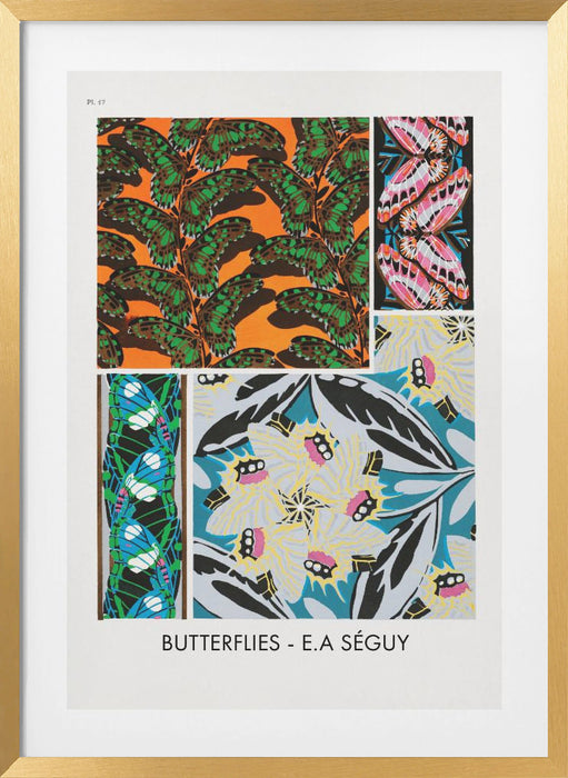 Butterflies 17 Framed Art Wall Decor