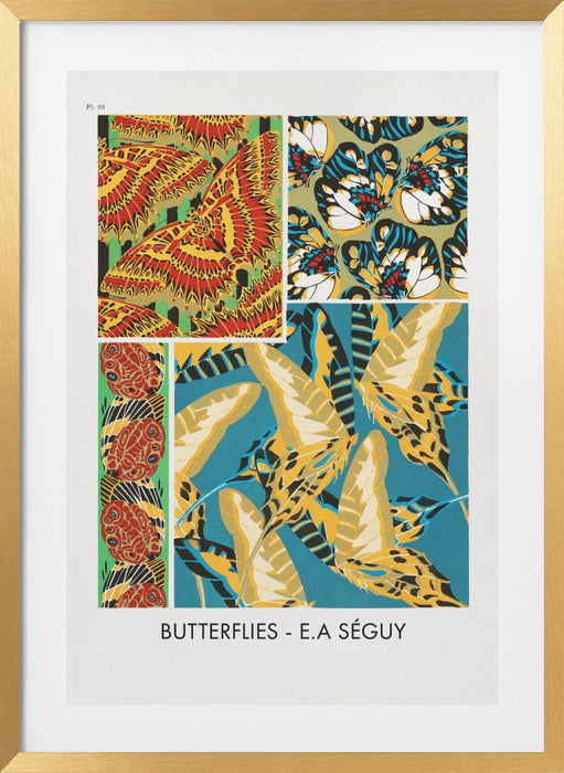 Butterflies 19 Framed Art Modern Wall Decor