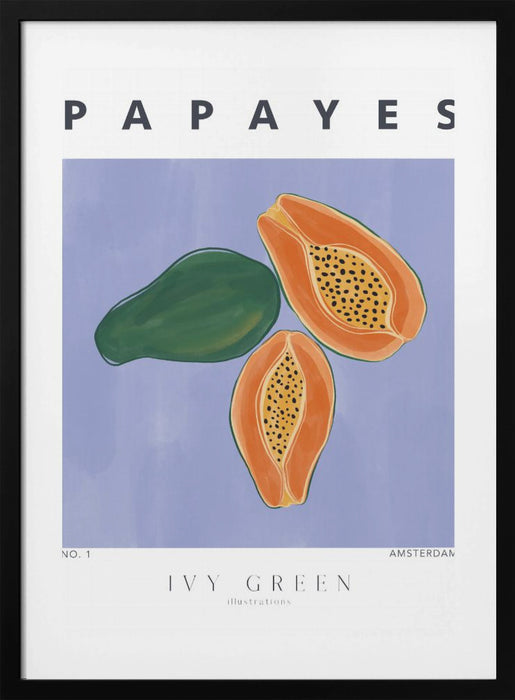 Papayes Framed Art Modern Wall Decor