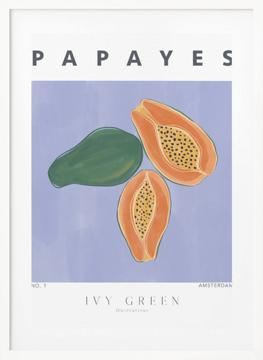 Papayes Framed Art Modern Wall Decor