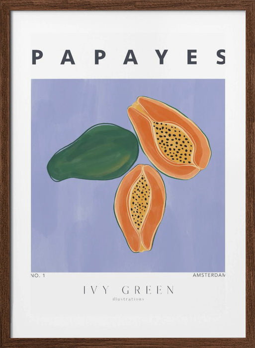 Papayes Framed Art Modern Wall Decor