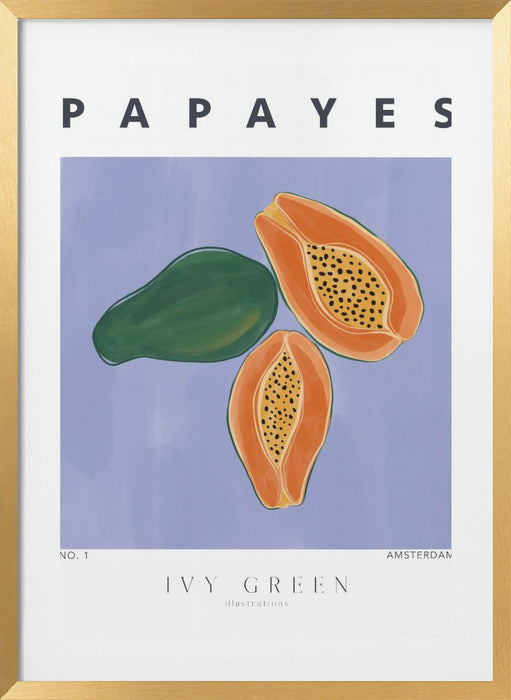 Papayes Framed Art Modern Wall Decor