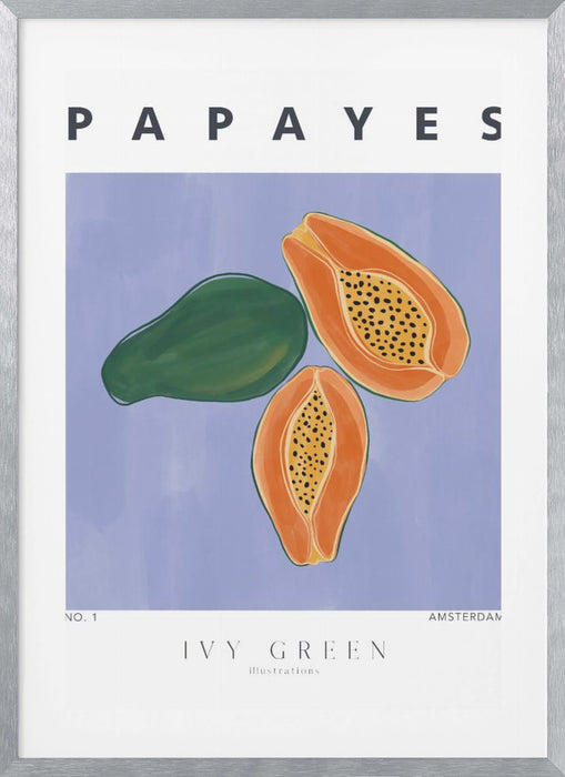 Papayes Framed Art Modern Wall Decor