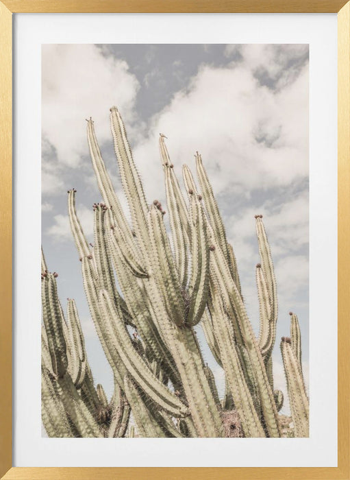 Desert Cathedral Framed Art Modern Wall Decor