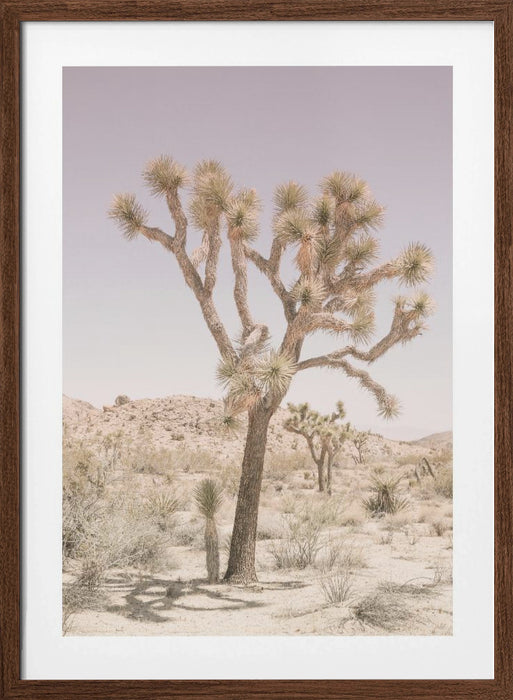 Joshua Tree Framed Art Modern Wall Decor