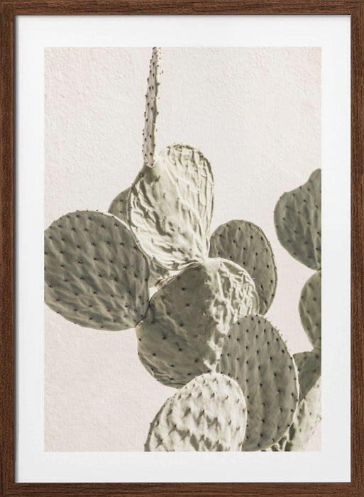 Mexi Catus 02 Framed Art Wall Decor