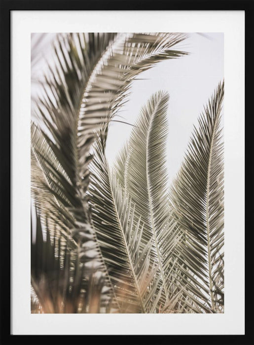 Palm Love Framed Art Modern Wall Decor