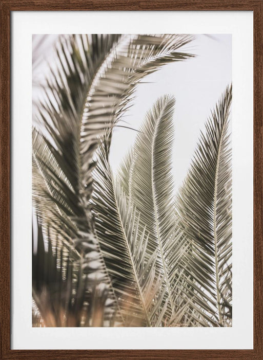 Palm Love Framed Art Modern Wall Decor