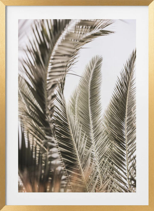 Palm Love Framed Art Modern Wall Decor