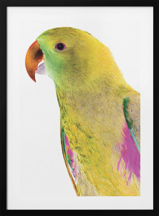 Polly Framed Art Wall Decor