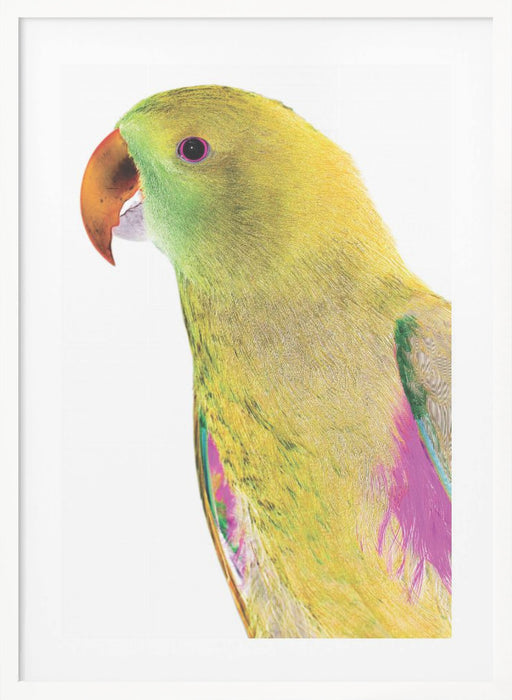 Polly Framed Art Wall Decor