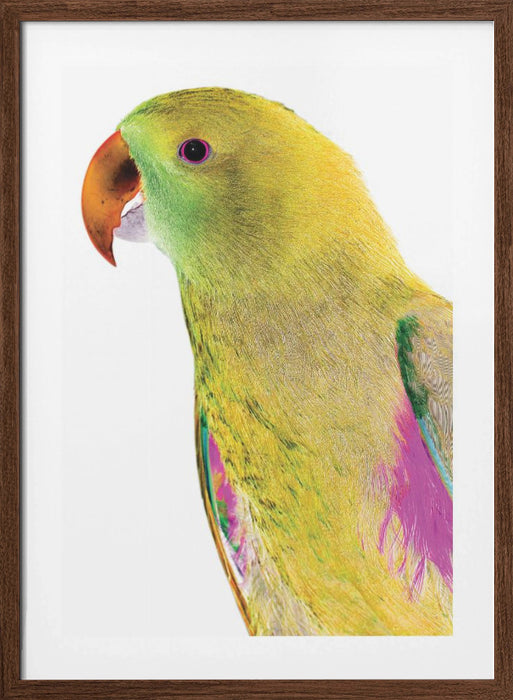 Polly Framed Art Wall Decor