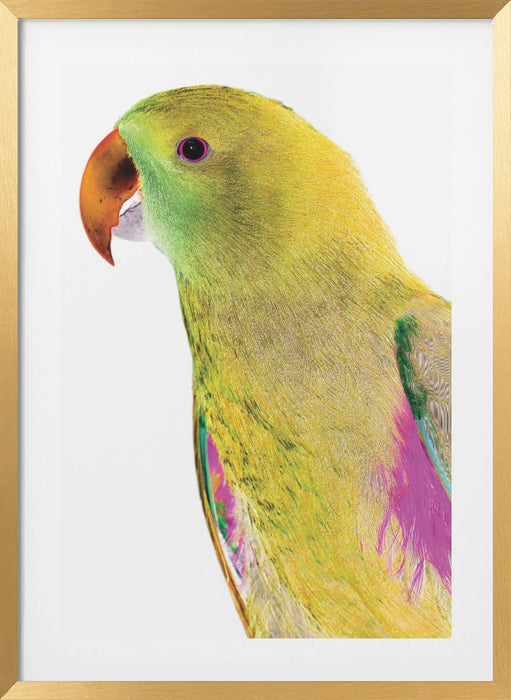 Polly Framed Art Wall Decor