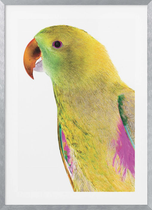 Polly Framed Art Wall Decor