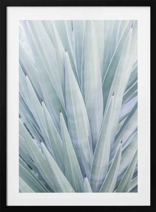 Tequilana Framed Art Wall Decor