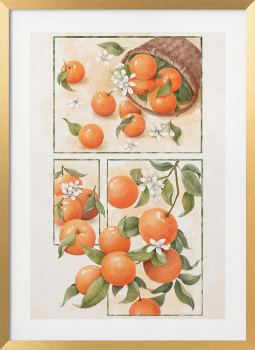 Orange Blossom Framed Art Modern Wall Decor