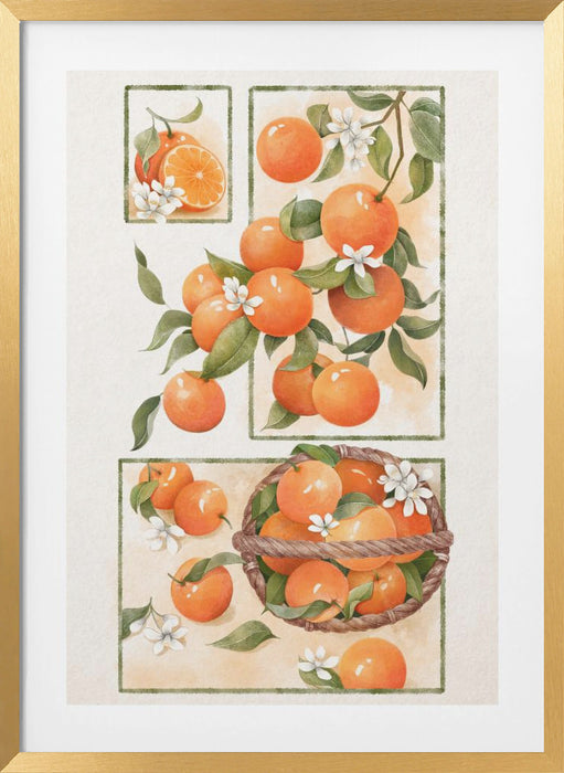 Orange Blossom Framed Art Modern Wall Decor