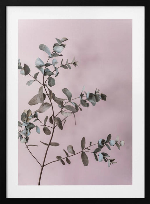 Eucalyptus 12 Framed Art Modern Wall Decor