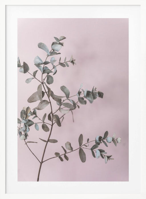 Eucalyptus 12 Framed Art Modern Wall Decor