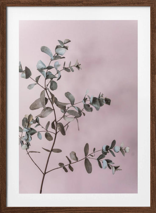 Eucalyptus 12 Framed Art Modern Wall Decor