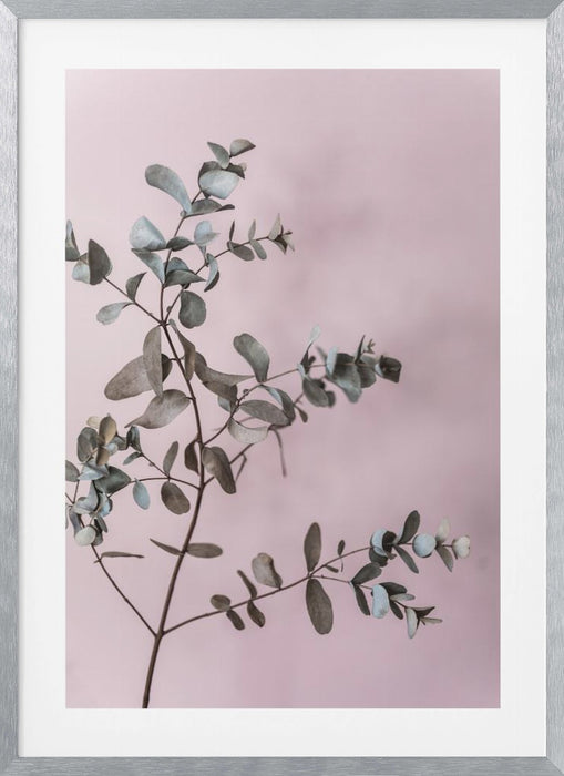 Eucalyptus 12 Framed Art Modern Wall Decor