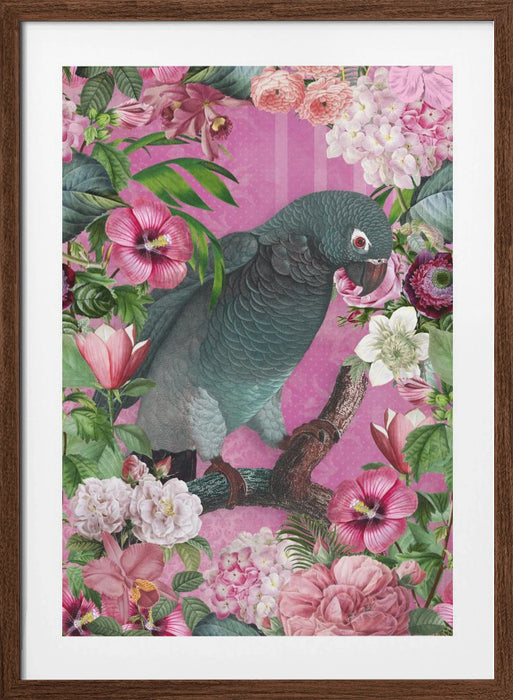 The Parrots Paradise Garden 3 Framed Art Modern Wall Decor