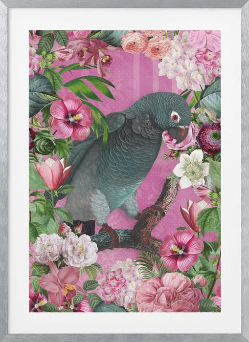 The Parrots Paradise Garden 3 Framed Art Modern Wall Decor