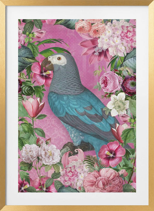 The Parrots Paradise Garden Framed Art Wall Decor