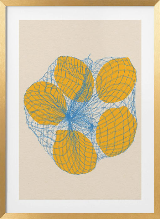 Five Lemons In a Net Bag Framed Art Wall Decor