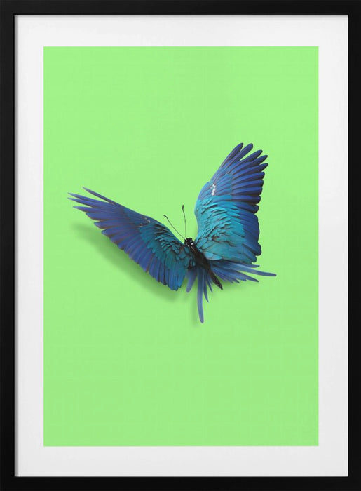 Parrot Butterfly Framed Art Modern Wall Decor