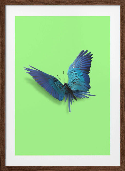 Parrot Butterfly Framed Art Modern Wall Decor