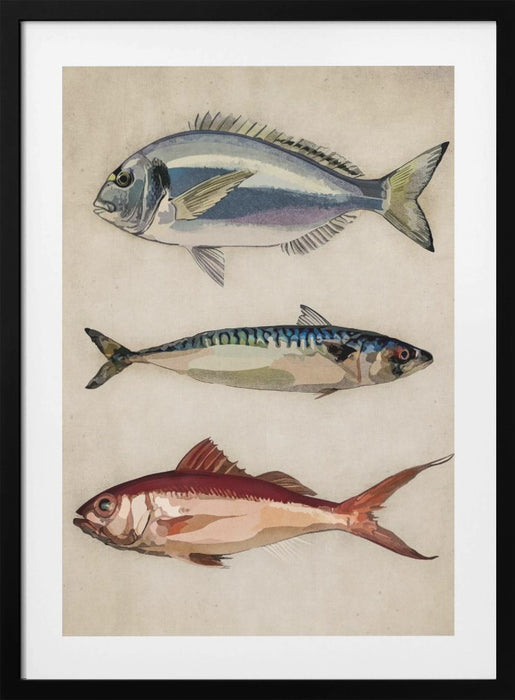 Deniz Baliklari  Fish Framed Art Wall Decor