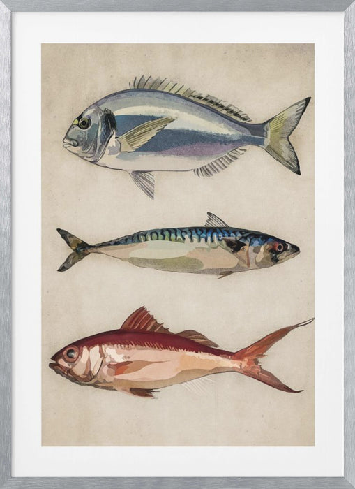 Deniz Baliklari  Fish Framed Art Wall Decor