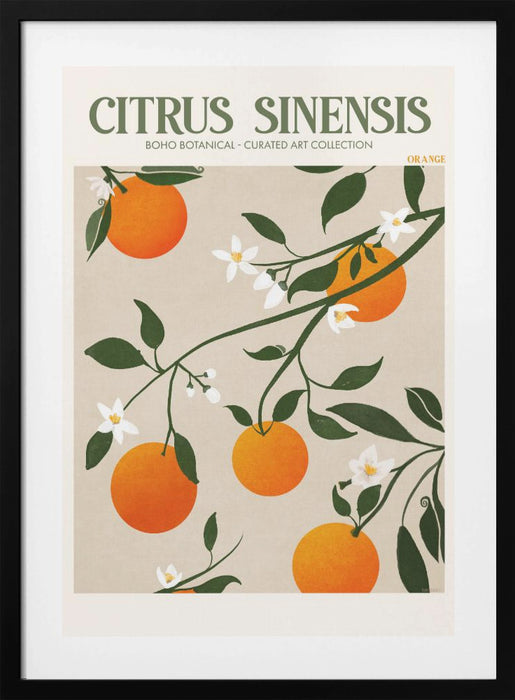 Citrus Framed Art Modern Wall Decor