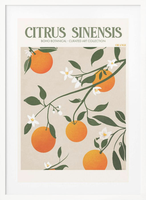 Citrus Framed Art Modern Wall Decor