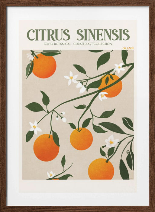 Citrus Framed Art Modern Wall Decor