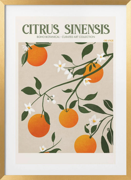 Citrus Framed Art Modern Wall Decor