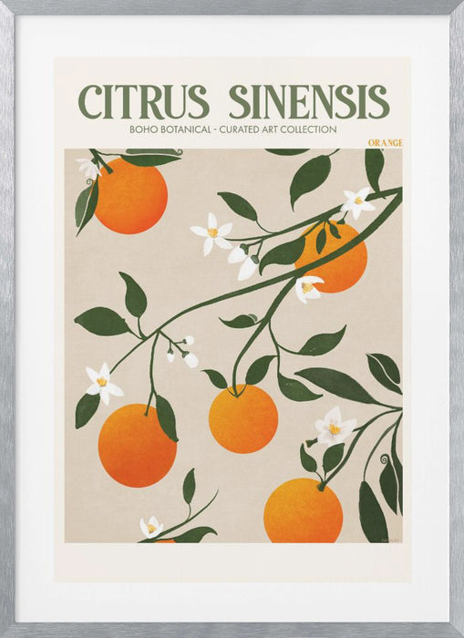 Citrus Framed Art Modern Wall Decor